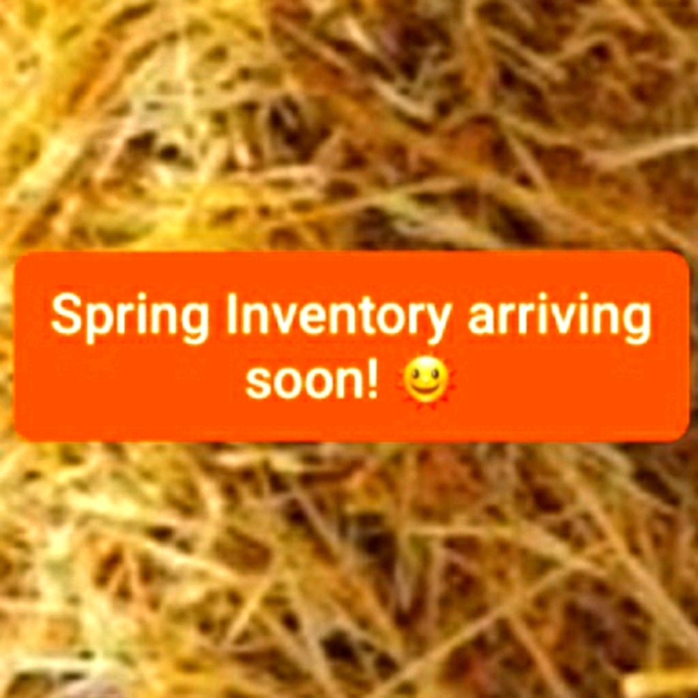Spring Inventory Arriving Soon
